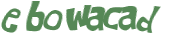 Desafio captcha
