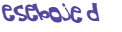Desafio captcha