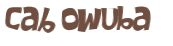 CAPTCHA 挑戰