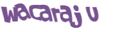 Wyzwanie captcha