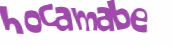Desafio Captcha