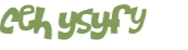 Captcha 챌린지