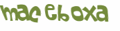 CAPTCHA 挑戰