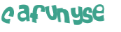 CAPTCHA 挑戰
