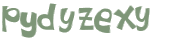CAPTCHA 挑戰