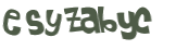 CAPTCHA 挑戰