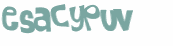 Captcha-Test