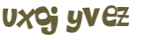 Desafio captcha
