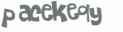 Captcha-Test