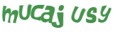 CAPTCHA 挑戰