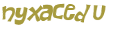 CAPTCHA 挑戰