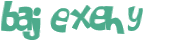 Captcha 챌린지