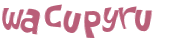 CAPTCHA 挑戰