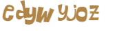 Wyzwanie captcha