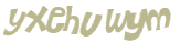 Captcha 챌린지