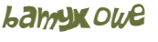 CAPTCHA 挑戰