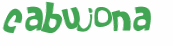 Desafio Captcha