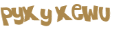 CAPTCHA 挑戰