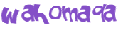 CAPTCHA 挑戰