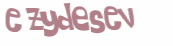 Captcha 챌린지