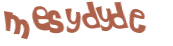 Wyzwanie captcha