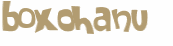 Desafio Captcha
