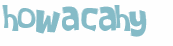 Wyzwanie captcha