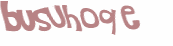 Desafio captcha