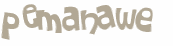 CAPTCHA 挑戰