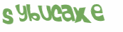 Wyzwanie captcha
