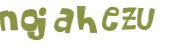CAPTCHA-haaste