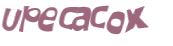 Captcha 챌린지