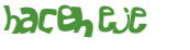 Desafio Captcha
