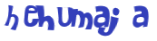 Prueba Captcha
