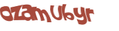 CAPTCHA 挑戰