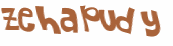 Wyzwanie captcha