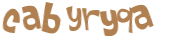 CAPTCHA 挑戰