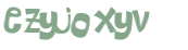 Captcha 챌린지