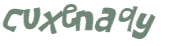 CAPTCHA 挑戰