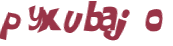 Captcha-udfordring
