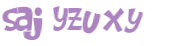 CAPTCHA 挑戰