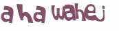 Captcha challenge