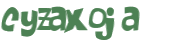 CAPTCHA 挑戰