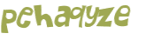 CAPTCHA 挑戰