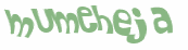 Captcha 챌린지