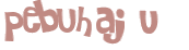 Captcha-test