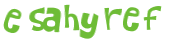 Sfida captcha