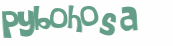Captcha 챌린지