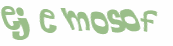 CAPTCHA 挑戰