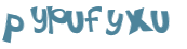 CAPTCHA 挑戰